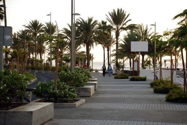 Palmekantet strandpromenade i Playa de las Américas
